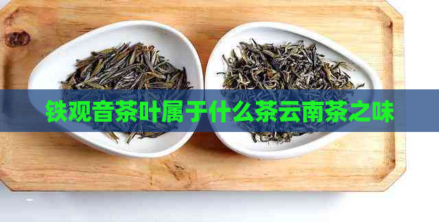 铁观音茶叶属于什么茶云南茶之味-第1张图片-福建名茶