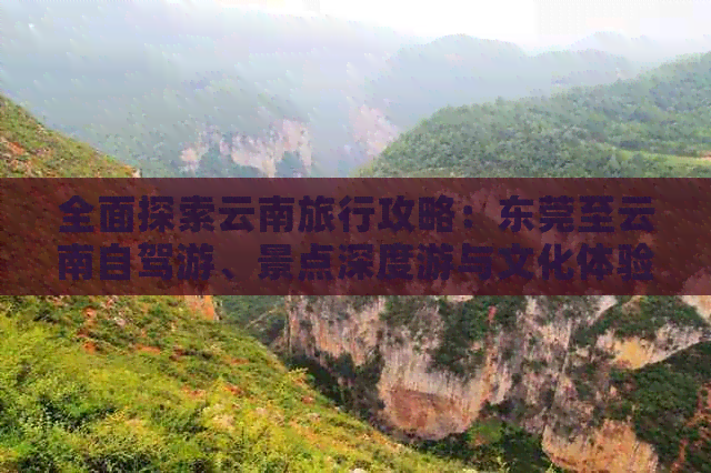全面探索云南旅行攻略：东莞至云南自驾游、景点深度游与文化体验指南