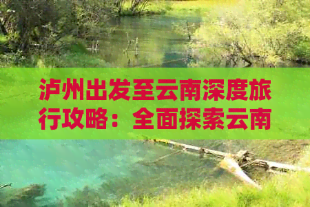 泸州出发至云南深度旅行攻略：全面探索云南美景与文化精华
