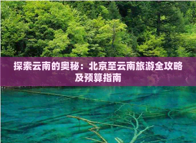 探索云南的奥秘：北京至云南旅游全攻略及预算指南