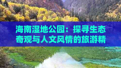 海南湿地公园：探寻生态奇观与人文风情的旅游精华地