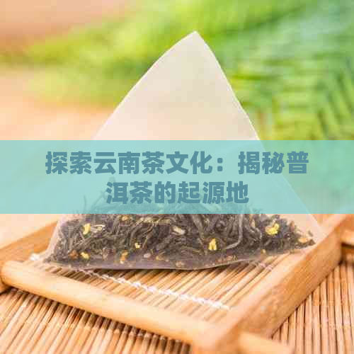 探索云南茶文化：揭秘普洱茶的起源地