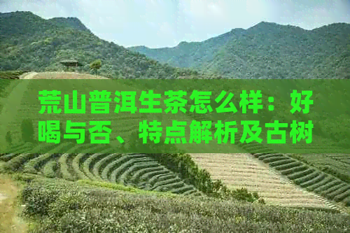 荒山普洱生茶怎么样：好喝与否、特点解析及古树老树价格一览